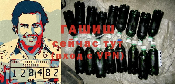 индика Струнино