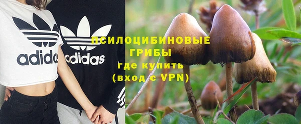 амфетамин Белокуриха