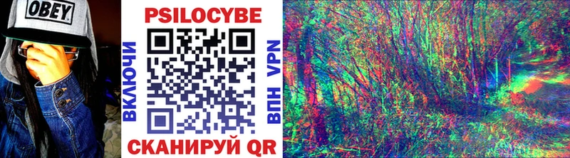 Псилоцибиновые грибы мицелий  Неман 